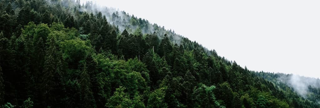 codis-environnement-traitement-des-DID