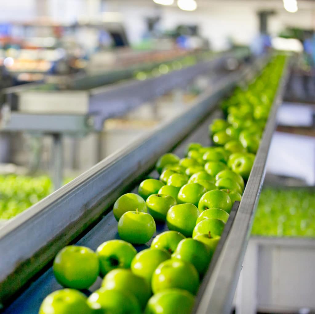 ligne de production de pommes vertes